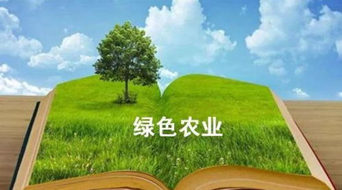 博創(chuàng)息壤攜地潤(rùn)美與春禾生物簽署戰(zhàn)略協(xié)議,助力綠色生態(tài)農(nóng)業(yè)發(fā)展